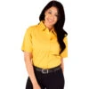Blue Generation Ladies' Short Sleeve Teflon Twill Shirt -Carhartt Shop BG6217S
